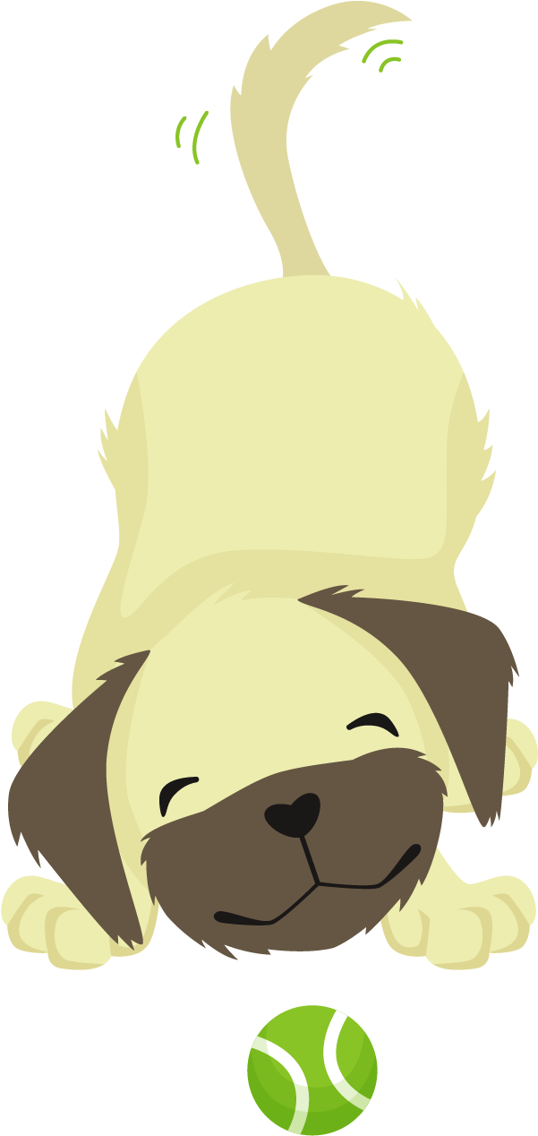 Doggy Day Care Services In Salisbury - Doggy Day Care Services In Salisbury (1458x1458)