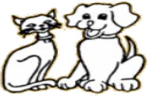 Pets Paradise Kennels And Catteries - Pets Paradise Kennels And Catteries (560x370)