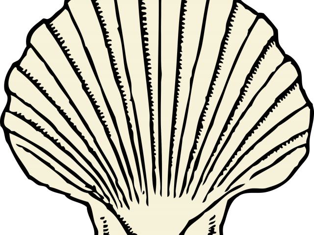 Shell Clipart Minos - Shell Clipart Minos (640x480)