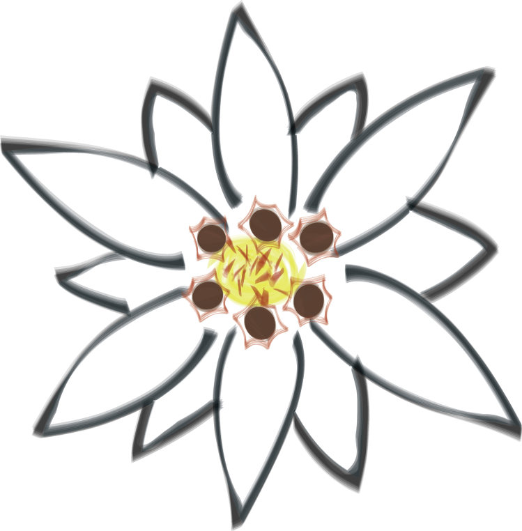 Edelweiss Acupuncture Providing Acupuncture And Herbal - Edelweiss Acupuncture Providing Acupuncture And Herbal (749x762)