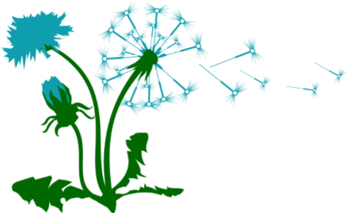 Rooted Community Acupuncture - Rooted Community Acupuncture (533x322)