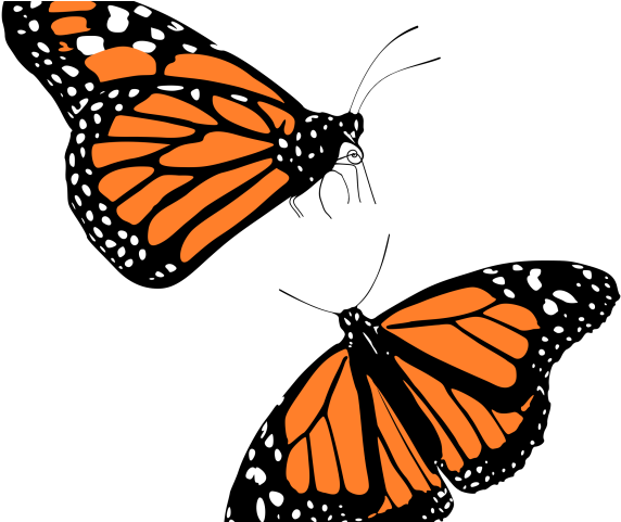 Picture Free Download Latest Cliparts Page Dumielauxepices - Picture Free Download Latest Cliparts Page Dumielauxepices (640x480)