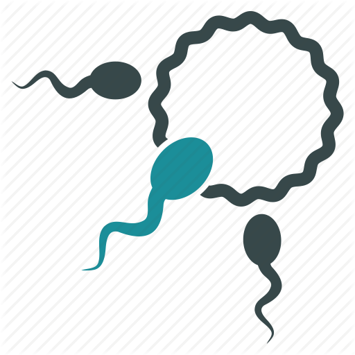 Bilderesultat For Reproduction Icon - Bilderesultat For Reproduction Icon (512x512)