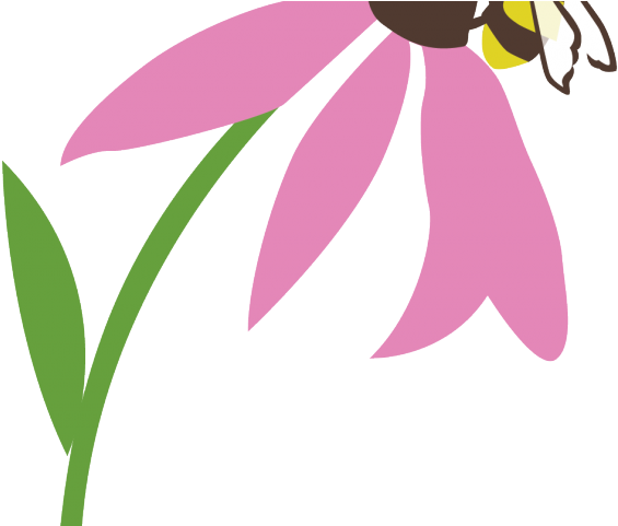 Pollination Clipart Insect - Pollination Clipart Insect (640x480)