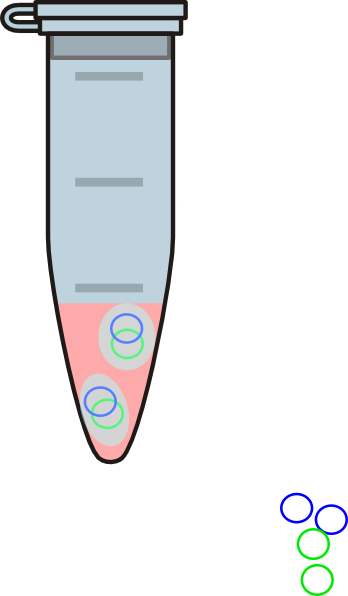 Eppendorf Tube Red Clip Art - Eppendorf Tube Red Clip Art (348x596)