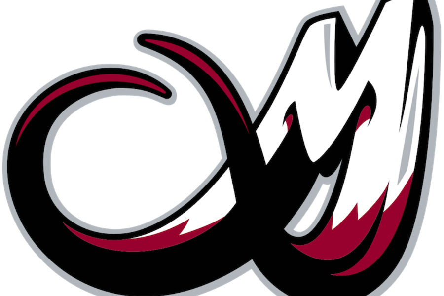 Colorado Mammoth Announce Roster - Colorado Mammoth Announce Roster (900x600)