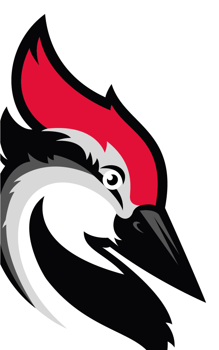 Woodpecker Iamge Woodpecker - Woodpecker Iamge Woodpecker (880x1202)