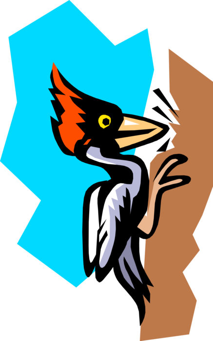 Vector Illustration Of North American Red-headed Pileated - Vector Illustration Of North American Red-headed Pileated (437x700)
