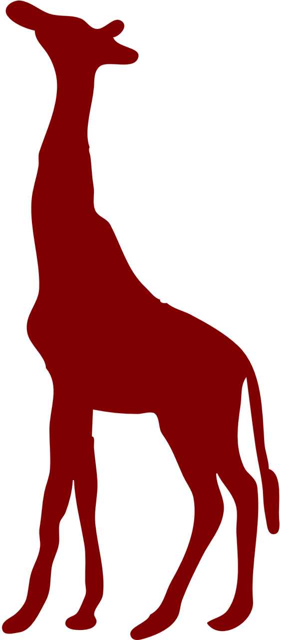 Giraffe Mammal Animal - Giraffe Mammal Animal (640x1280)