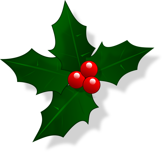 Transparent Holly Leaves - Transparent Holly Leaves (640x595)