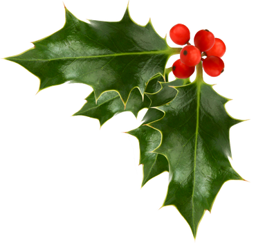 Banner Library Stock A Christmas Story Of Dogs Disasters - Banner Library Stock A Christmas Story Of Dogs Disasters (370x351)