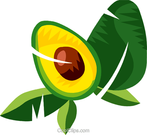 Sliced Papaya Royalty Free Vector Clip Art Illustration - Sliced Papaya Royalty Free Vector Clip Art Illustration (480x441)