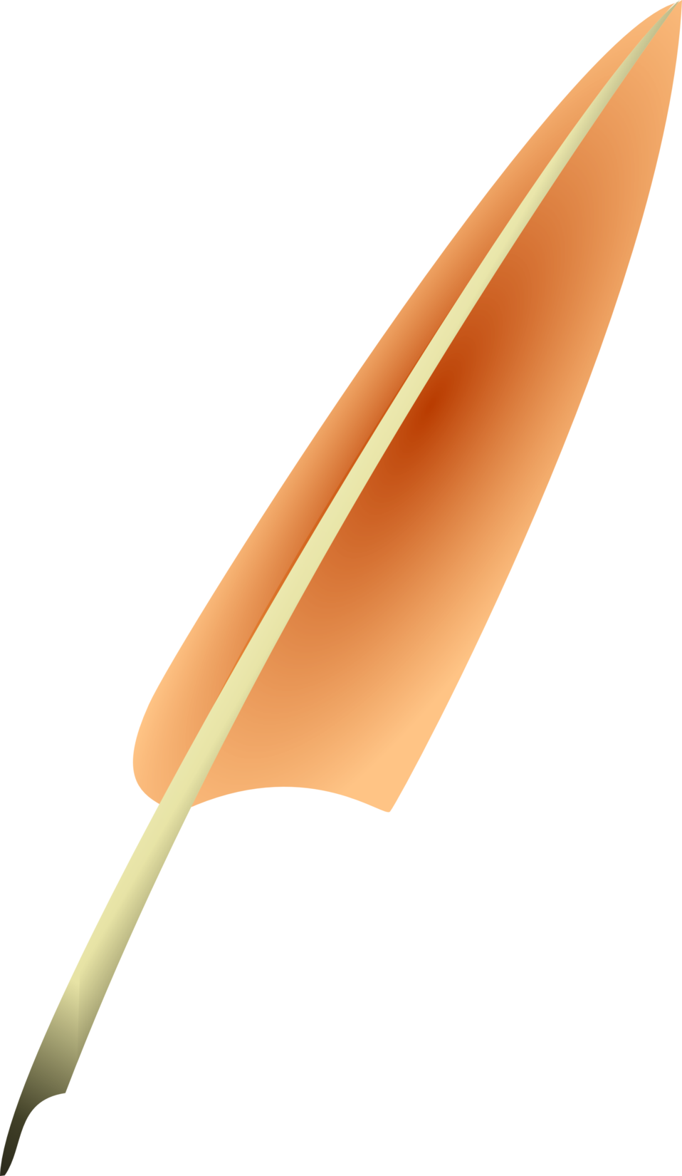 Used Quill - Used Quill (958x1650)