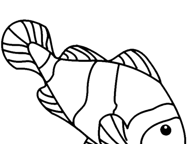 Koi Fish Clipart Draw In Color - Koi Fish Clipart Draw In Color (640x480)