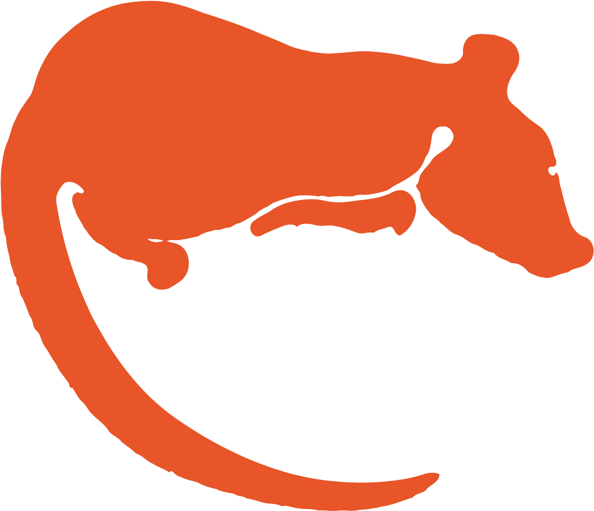 Rats - Rats (1342x1149)