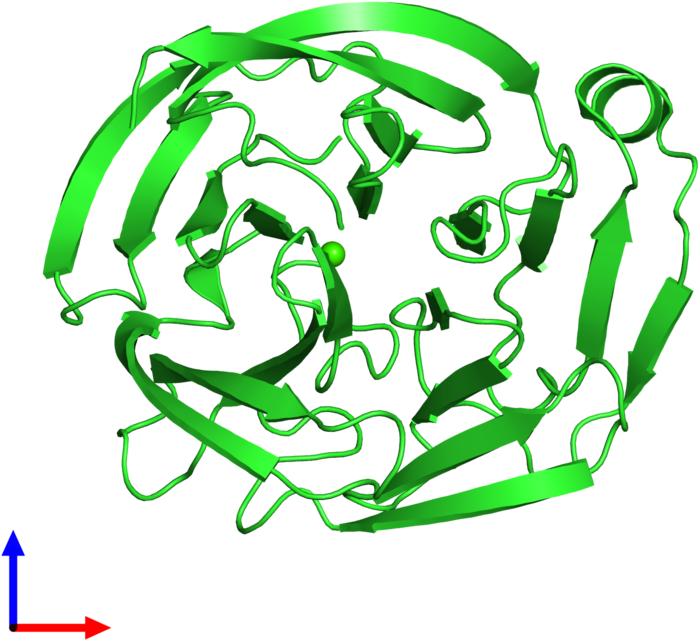 Pdb 4rmk Coloured By Chain And Viewed From The Front - Pdb 4rmk Coloured By Chain And Viewed From The Front (800x800)