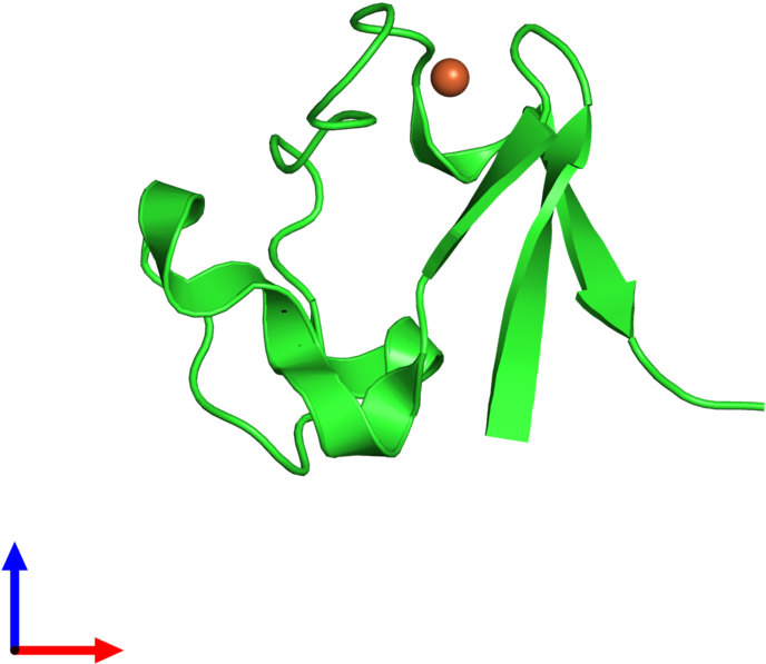 Pdb 1cad Coloured By Chain And Viewed From The Front - Pdb 1cad Coloured By Chain And Viewed From The Front (800x800)
