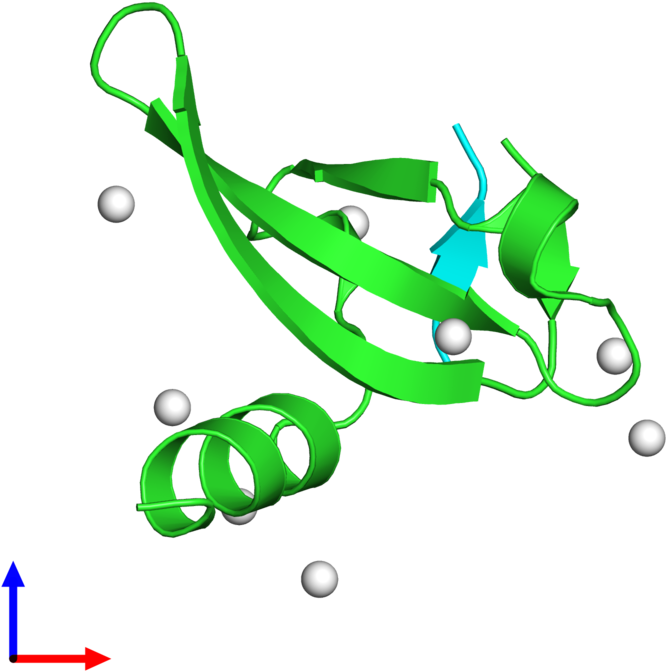 Pdb 5epk Coloured By Chain And Viewed From The Front - Pdb 5epk Coloured By Chain And Viewed From The Front (800x800)