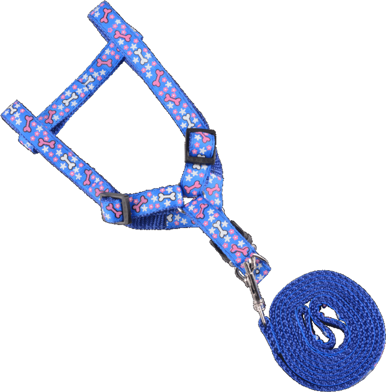 Rabbit Leash Rabbit Rabbit Rope Supplies Chain Small - Rabbit Leash Rabbit Rabbit Rope Supplies Chain Small (800x800)