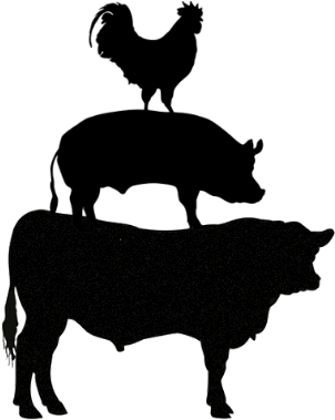 Fundraiser - Fundraiser (429x543)