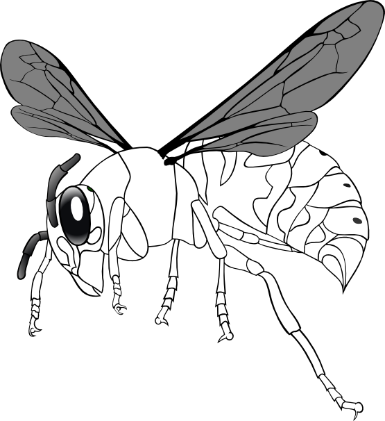 Bee Line Art - Bee Line Art (555x606)