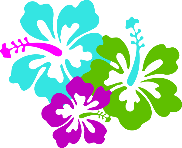 How To Set Use Hibiscus Trio Svg Vector - How To Set Use Hibiscus Trio Svg Vector (600x490)