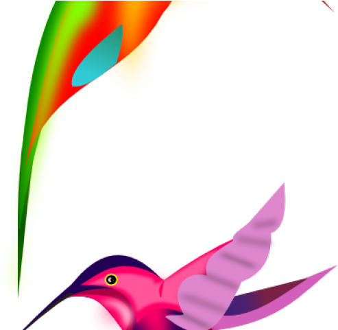 Hummingbird Clipart Humming Bird - Hummingbird Clipart Humming Bird (640x480)