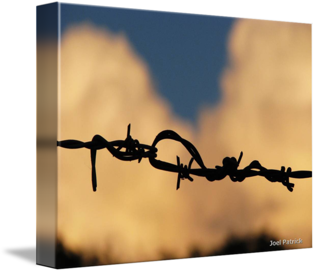 Barbed Wire City - Barbed Wire City (650x560)