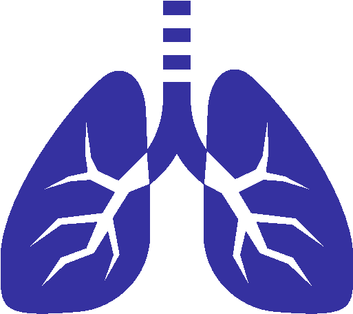 Research In Asthma - Research In Asthma (512x512)