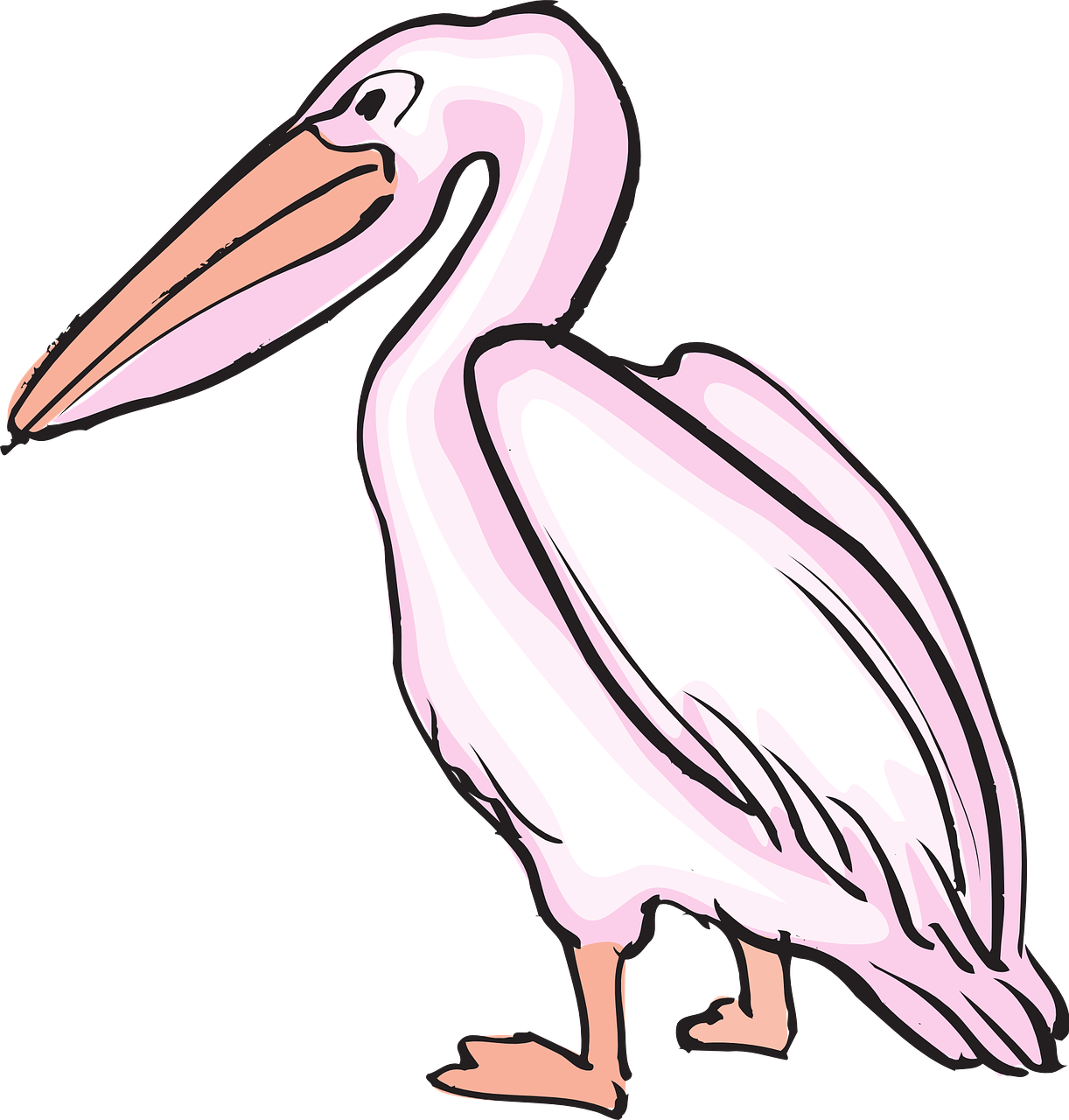 Pelican Seabid Png Image Pictures - Pelican Seabid Png Image Pictures (1222x1280)