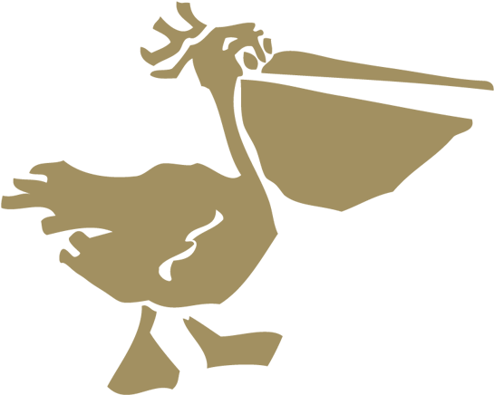 The Wild Pelican® Wines Come From Carefully Selected - The Wild Pelican® Wines Come From Carefully Selected (600x490)