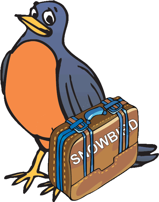 On Top Of The World Residents May Use Your Own Computer - On Top Of The World Residents May Use Your Own Computer (598x675)