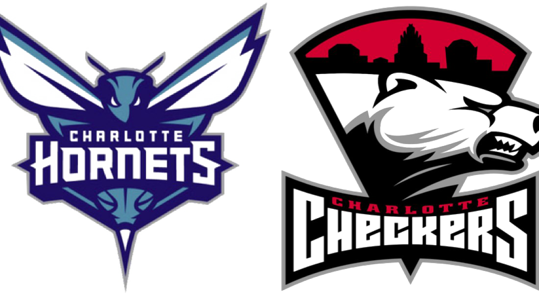 Charlotte Hornets Png Hd - Charlotte Hornets Png Hd (1100x600)
