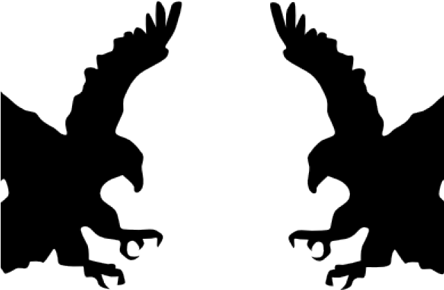 Bald Eagle Clipart Shadow - Bald Eagle Clipart Shadow (640x480)