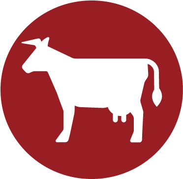 Feed - Feed (400x379)