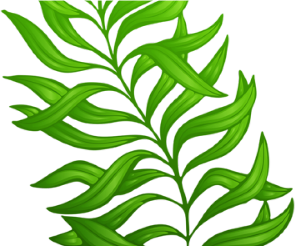 Exotic Clipart Leaf - Exotic Clipart Leaf (640x480)