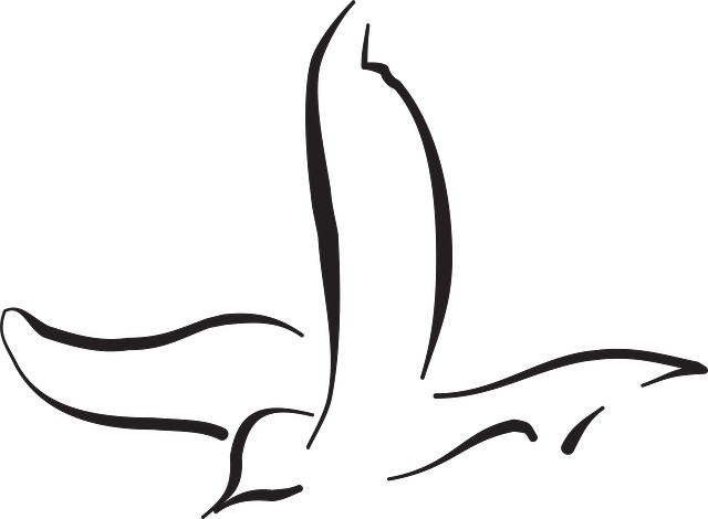 Bird Line Art-next Tattoo Bird Flying, Line Art, Outline, - Bird Line Art-next Tattoo Bird Flying, Line Art, Outline, (640x470)