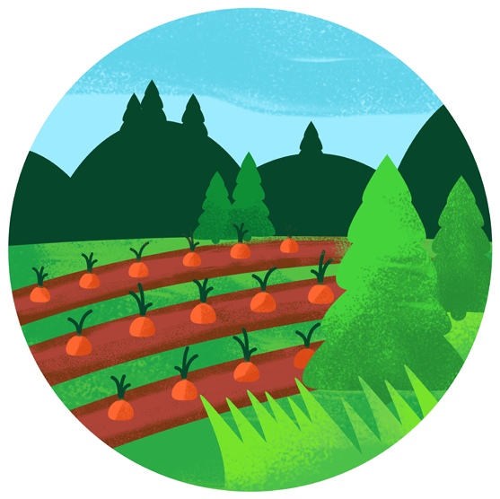 Negative Emissions Technologies Overview From Nas - Negative Emissions Technologies Overview From Nas (557x556)