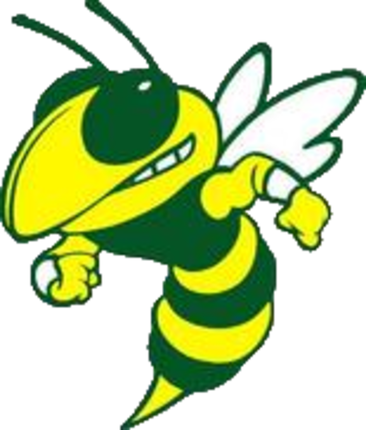 The Rayville Hornets - The Rayville Hornets (720x845)