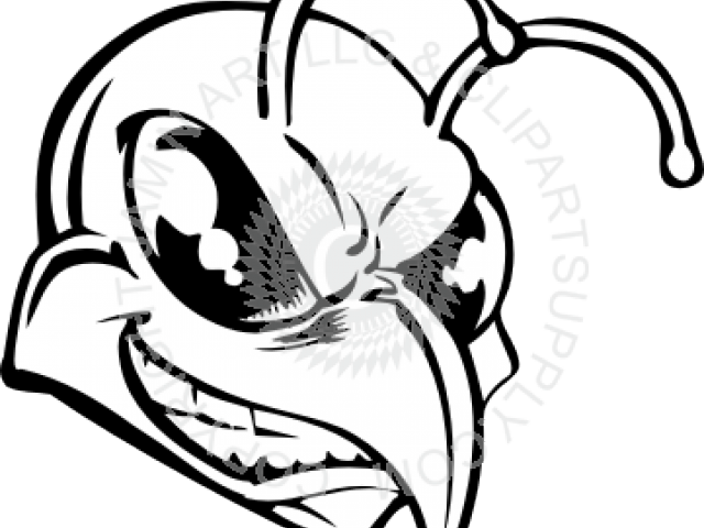 Hornet Clipart Head - Hornet Clipart Head (640x480)