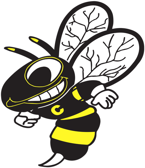 Hornet Clipart Cadott - Hornet Clipart Cadott (541x700)