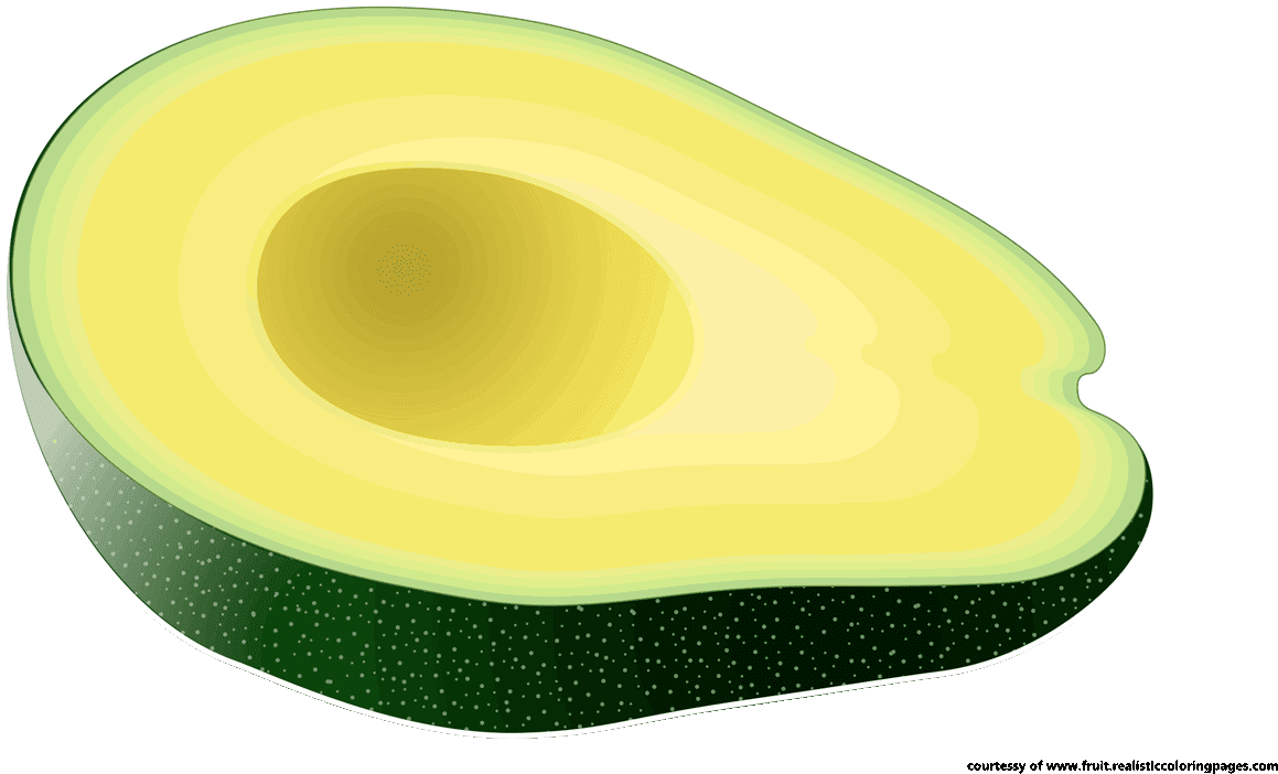 Avocado Clipart - Avocado Clipart (1280x720)