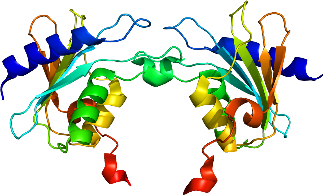 Phenylketonuria Cured In Mouse Model By Adaptation - Phenylketonuria Cured In Mouse Model By Adaptation (1178x730)