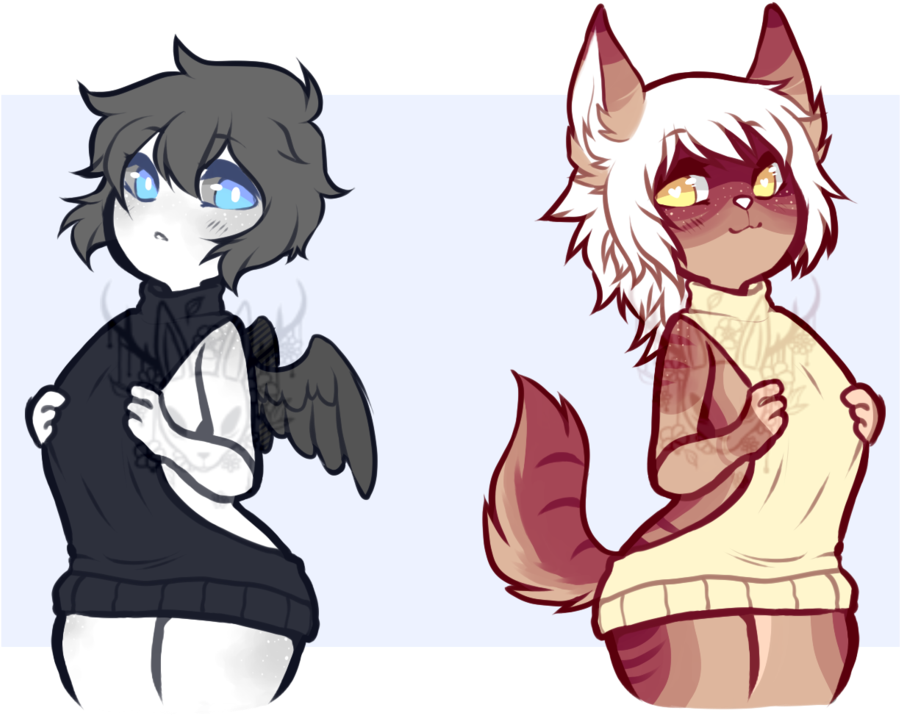 Virgin Sweater Adopts Hold - Virgin Sweater Adopts Hold (1024x735)