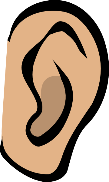 Big Ear Clipart - Big Ear Clipart (360x599)