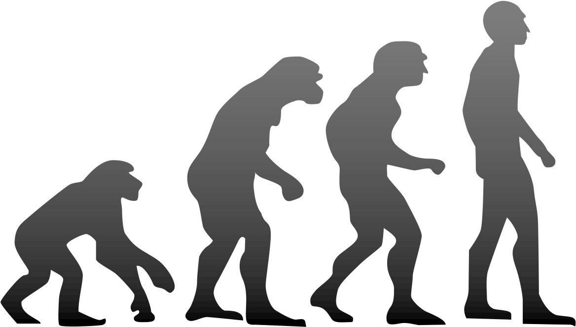 Doors Weren't Always Just Small Rectangle-shaped Planks - Doors Weren't Always Just Small Rectangle-shaped Planks (1280x800)