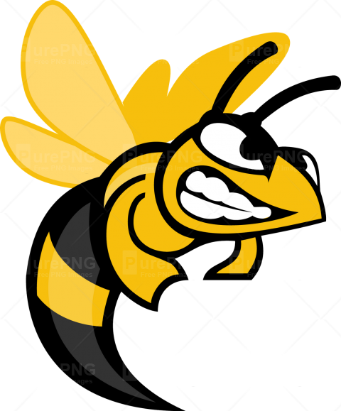 Angry Hornet Cartoon Clipart - Angry Hornet Cartoon Clipart (480x579)