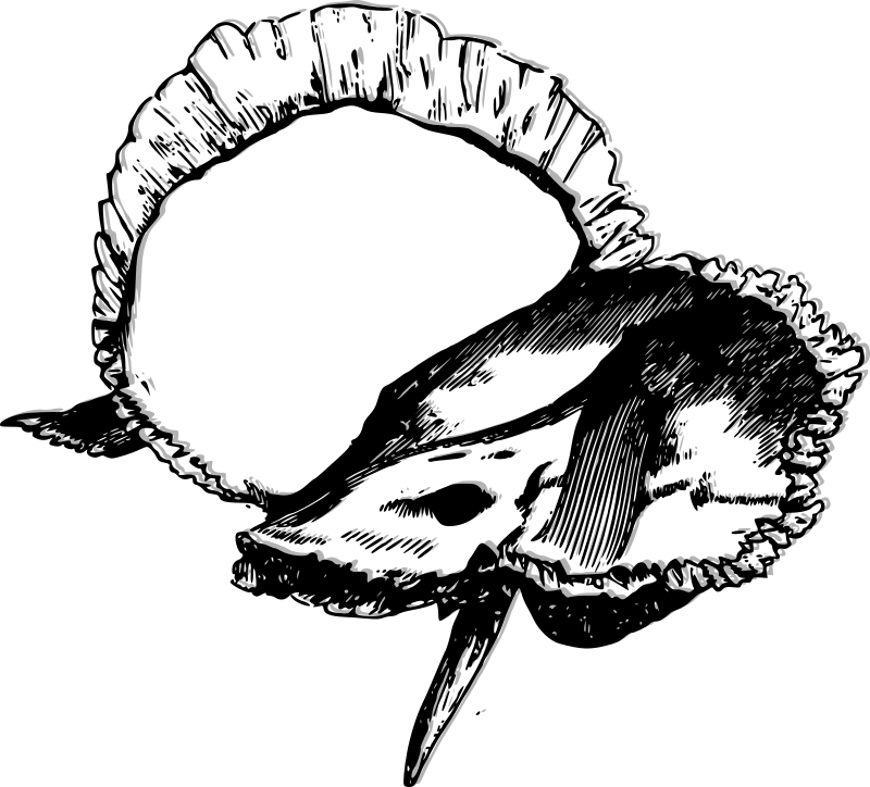 Medium Image - Medium Image (800x724)