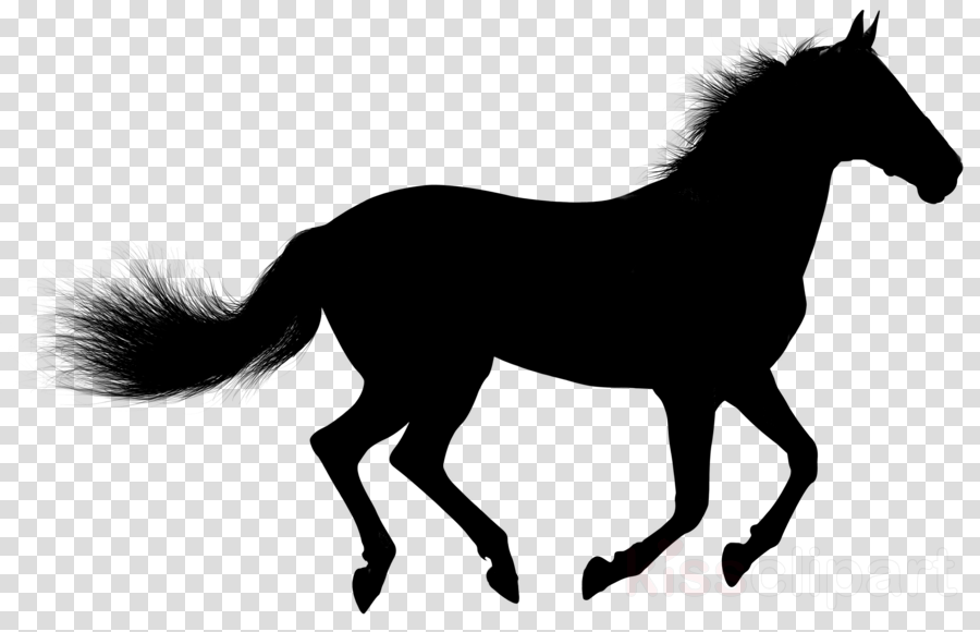 Silhueta Cavalo Png Clipart Horse - Silhueta Cavalo Png Clipart Horse (900x580)
