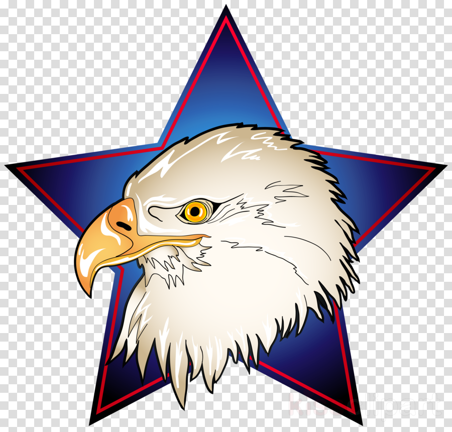 4th Of July Eagle Png Clipart Independence Day Clip - 4th Of July Eagle Png Clipart Independence Day Clip (900x860)